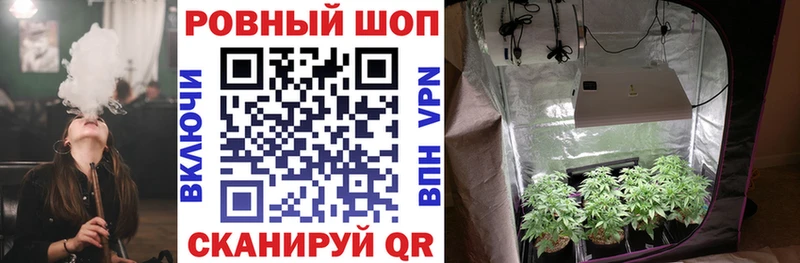 Где можно купить наркотики Хотьково КОКАИН  A PVP  МДМА  Галлюциногенные грибы  Бошки Шишки  ГАШ  Меф мяу мяу 