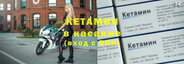 прущие грибы Медногорск