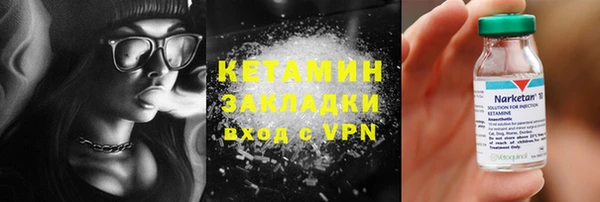прущие грибы Медногорск