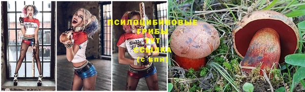 экстази Медвежьегорск