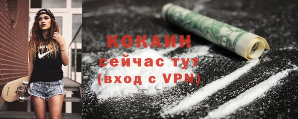 прущие грибы Медногорск