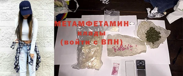 прущие грибы Медногорск