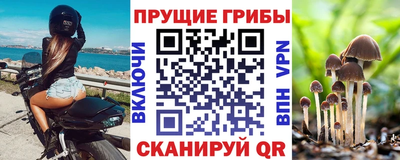 Псилоцибиновые грибы MAGIC MUSHROOMS  Хотьково 